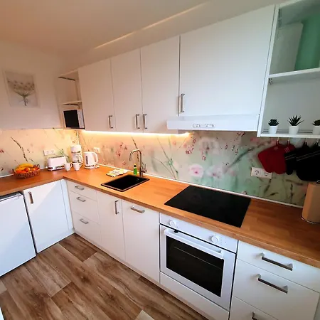 Apartment Radfreundliches Wohlfuehl-apartment Mit Terrasse Und Parkplatz - Woody Schwerin (Mecklenburg-Vorpommern)